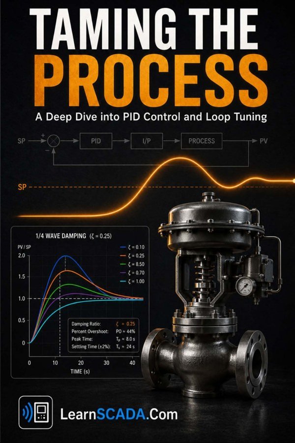 Cover of Taming the Process